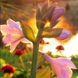 Meet your Posher, Christlie